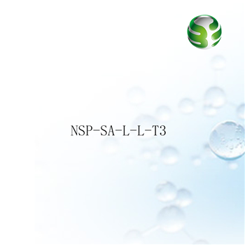 NSP-SA-L-L-T3（Intlus-B03-T3-3）